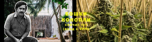 каннабис Алексеевка