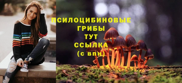 бутират Нягань