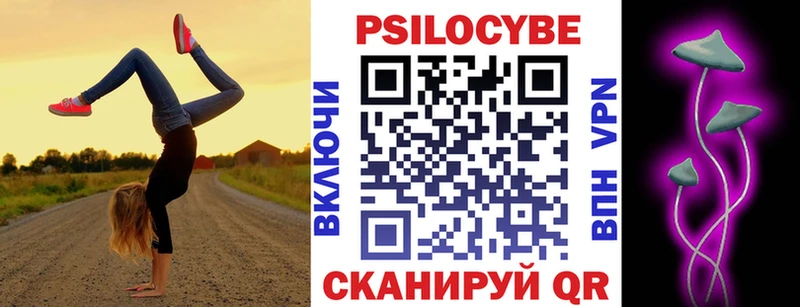 darknet наркотические препараты  Бердск  Псилоцибиновые грибы Psilocybine cubensis 