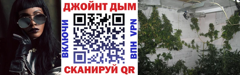 Каннабис AK-47 Бердск
