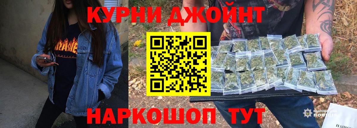 Каннабис сатива Бердск